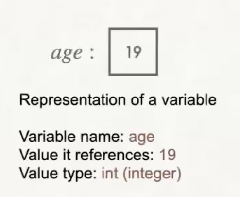 Visual representation of a variable
